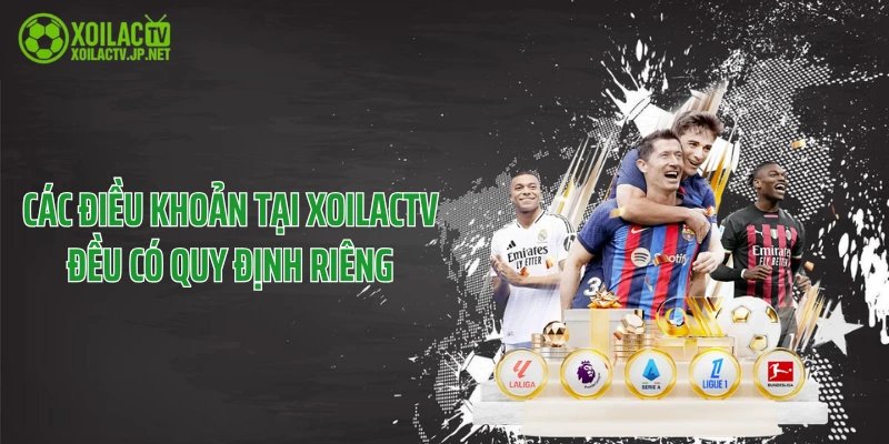 Các điều khoản tại XoilacTV đều có quy định riêng