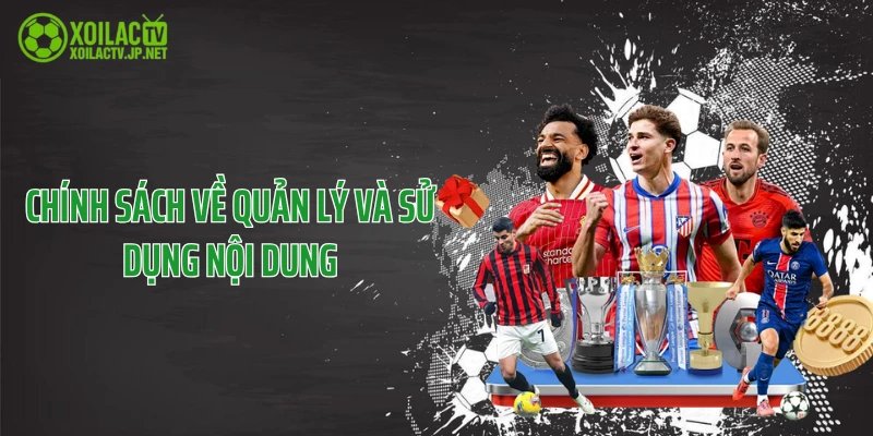 Chính sách về quản lý và sử dụng nội dung