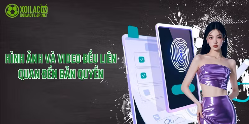 Hình ảnh và video đều liên quan đến bản quyền
