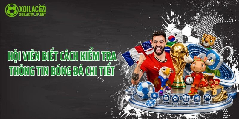 Hội viên biết cách kiểm tra thông tin bóng đá chi tiết
