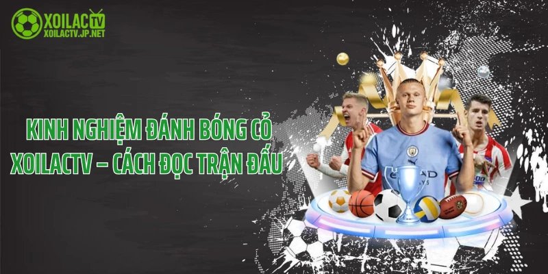 Kinh Nghiệm Đánh Bóng Cỏ XoilacTV – Cách Đọc Trận Đấu 