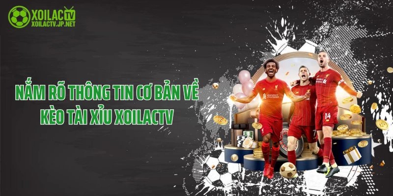 Nắm rõ thông tin cơ bản về kèo tài xỉu XoilacTV