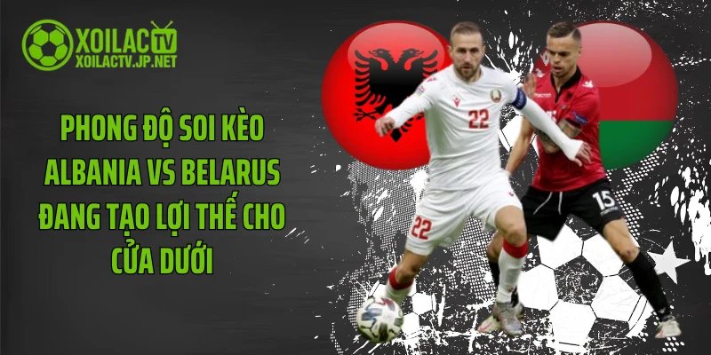 Phong độ soi kèo Albania vs Belarus đang tạo lợi thế cho cửa dưới